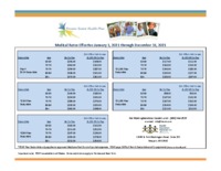 2021_Premier_Senior_Health_Plan_Rates_728334_80.pdf